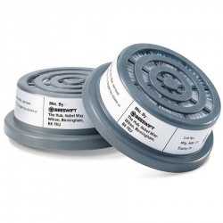 Beeswift BB3000 P3 R Filters (Pair)